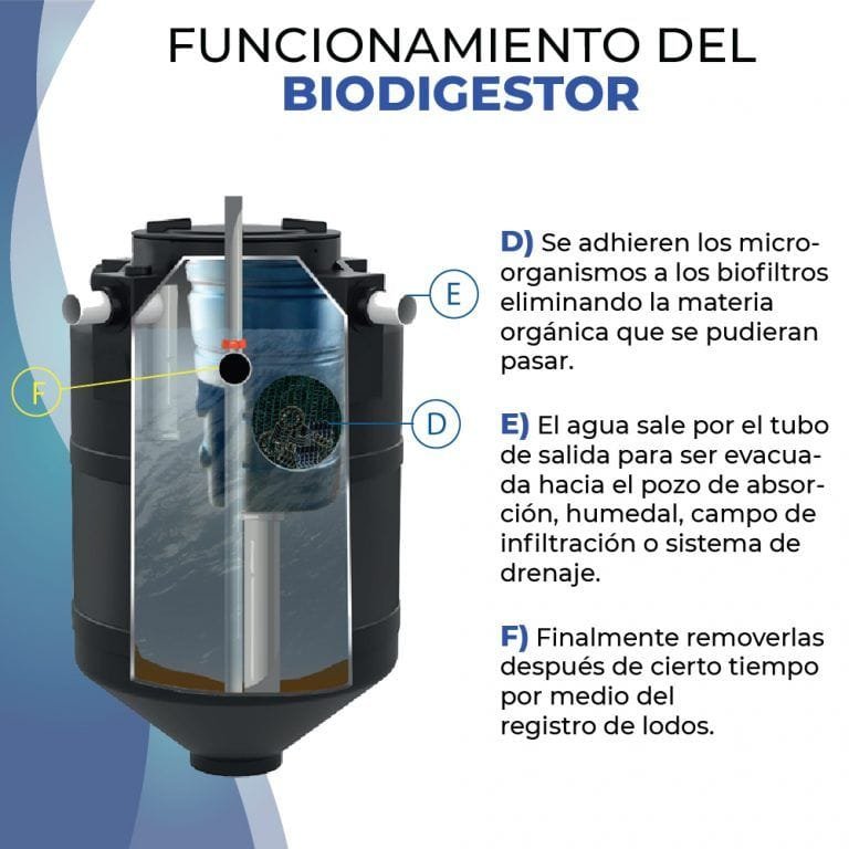 Cu L Es La Funci N De Un Biodigestor Biodigestores Tecnotanques