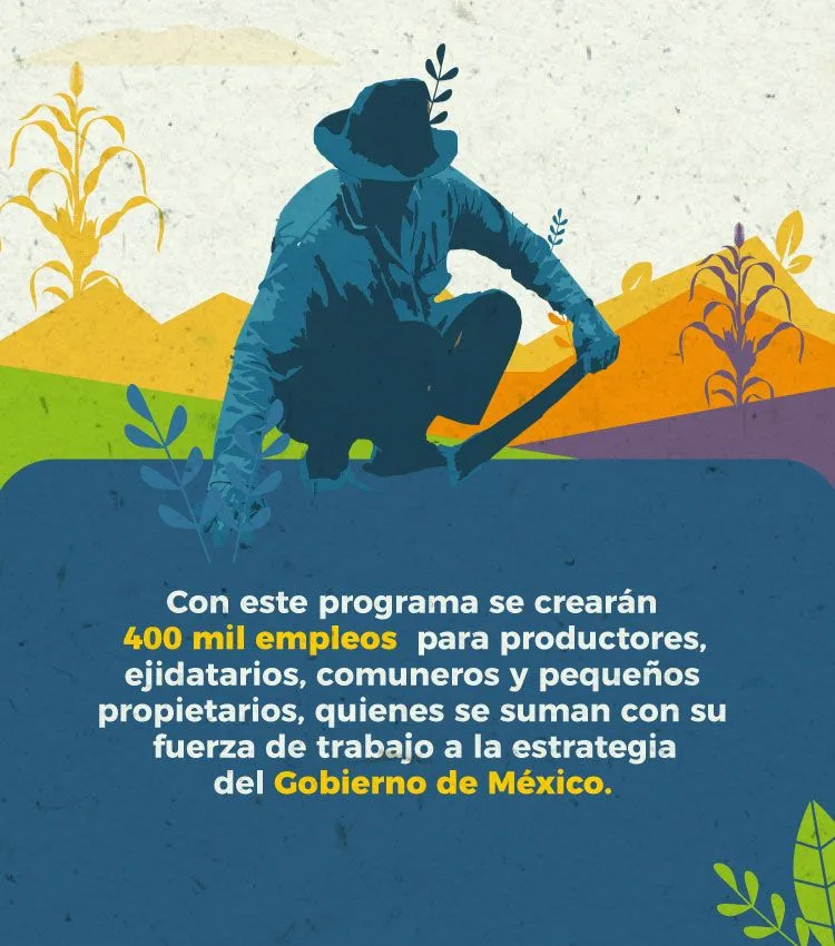 Agricultor-dato-duro-sembrando-vida Agricultor-dato-duro-sembrando-vida