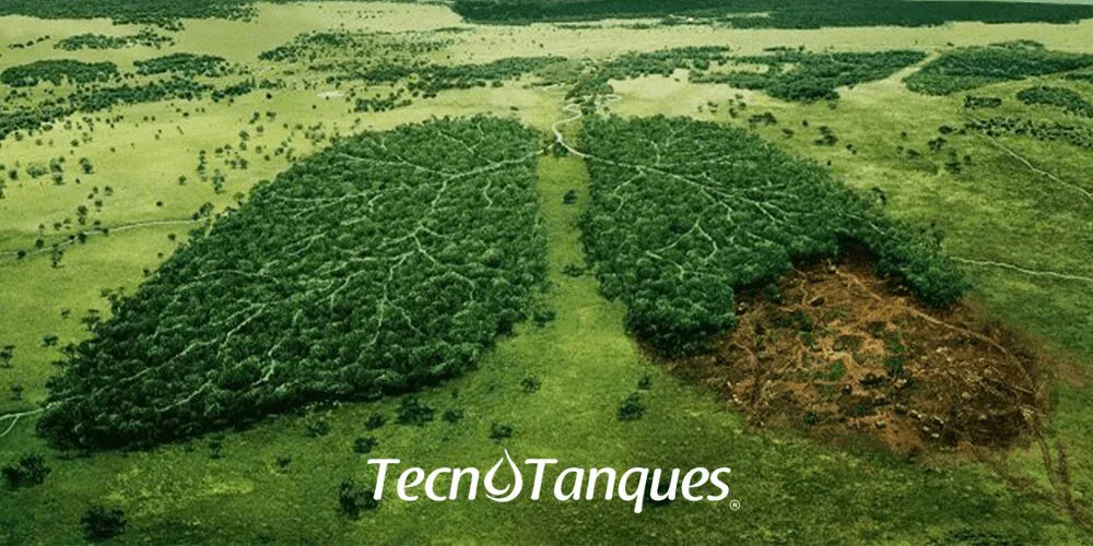 deforestacion-efectos