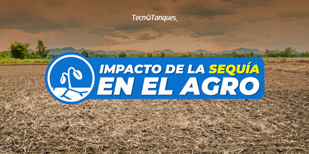 Impacto de la sequía en el agro en México.