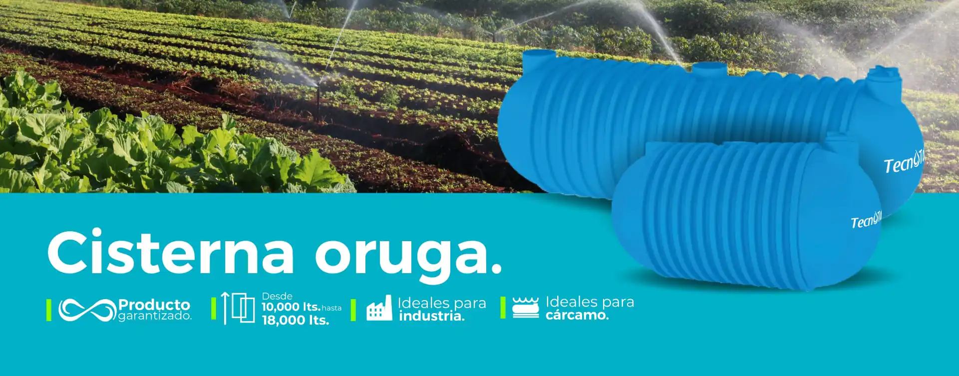 orugas--web-tecno orugas--web-tecno