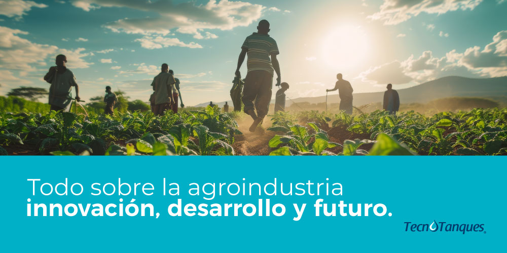 Todo sobre la Agroindustria: Innovación, Desarrollo y Futuro