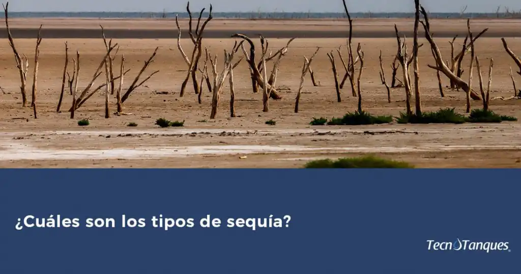 ¿Cuáles son los tipos de sequía?